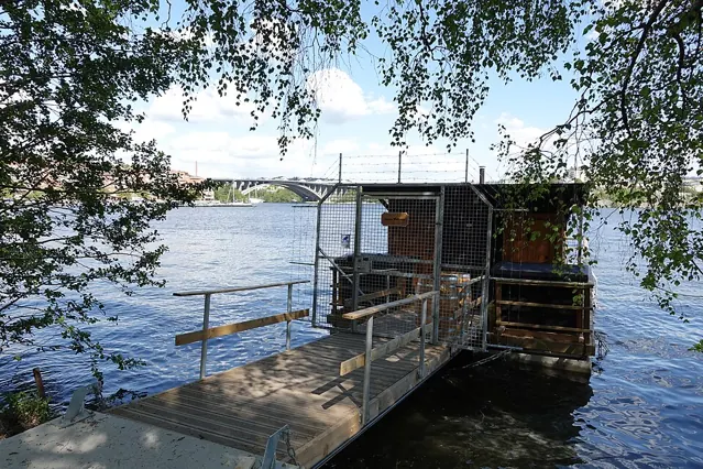 Saunaflåde